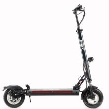 10 polegadas 600W 800W Scooters elétricas dobráveis ​​de duas rodas Easy Ride E-Scooter